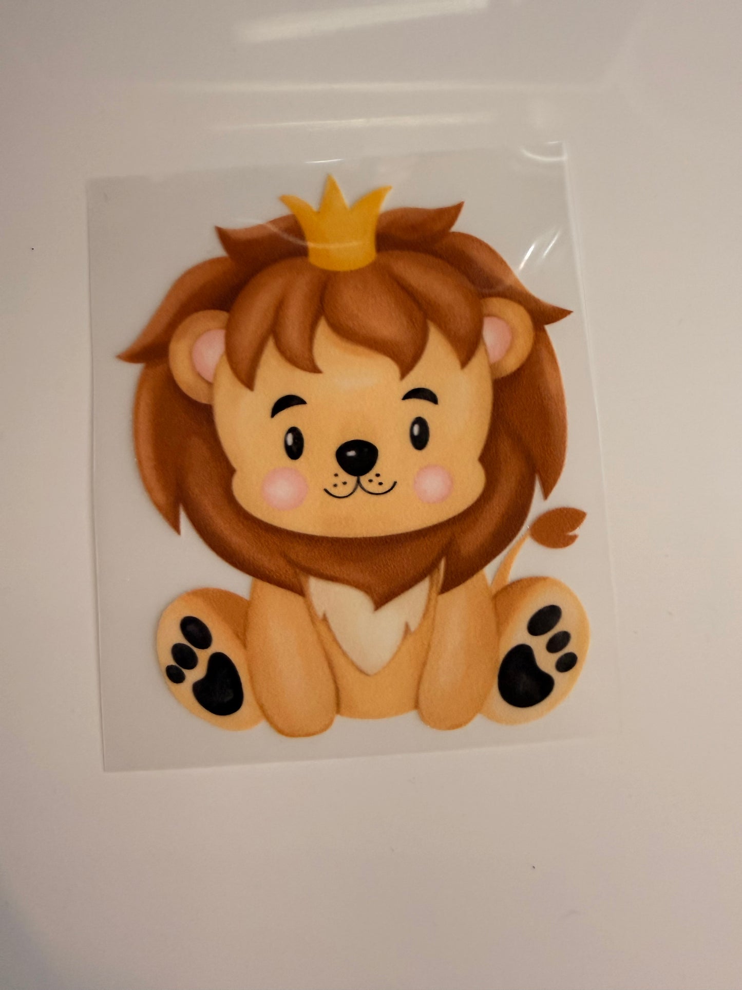 Cute Lion