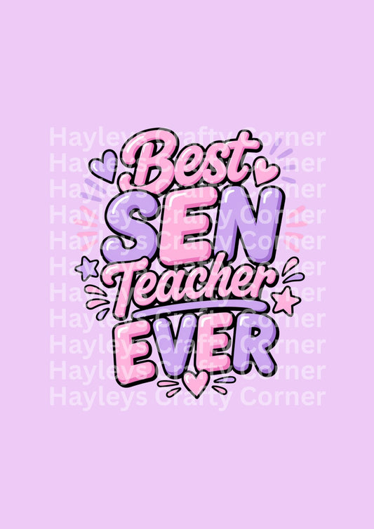 Best SEN Teacher Ever