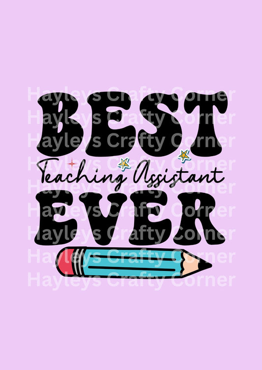 Best Teaching Assistant Ever