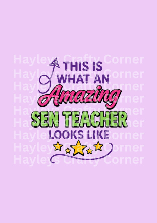 Amazing SEN Teacher